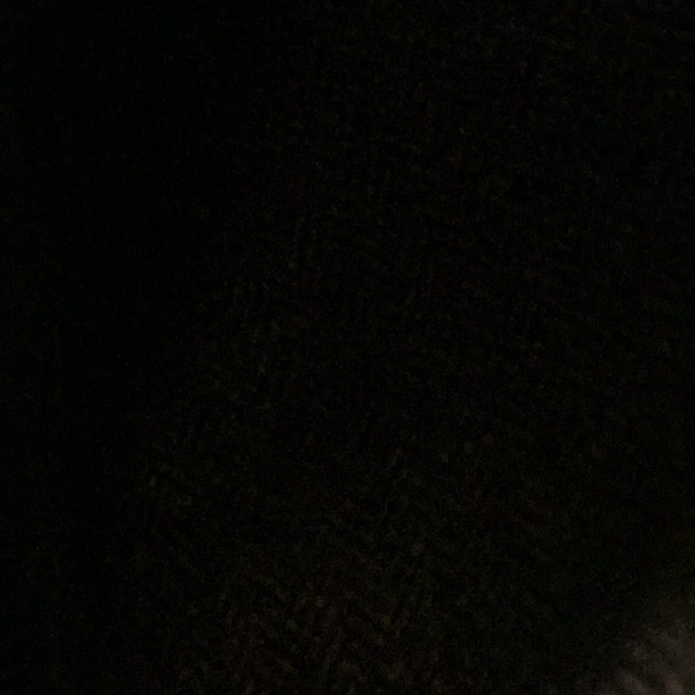 Black white brown, tweed pants, white leg size 10, perfect blind